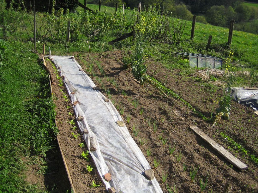 mon bio jardin